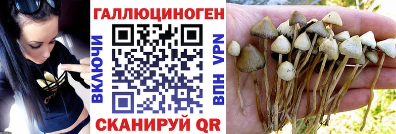 Псилоцибиновые грибы Magic Shrooms  Спас-Клепики 
