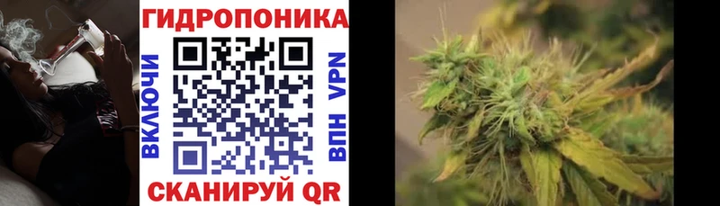 Конопля OG Kush гидра вход Спас-Клепики